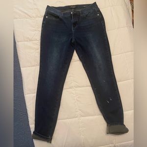 Judy Blue Skinny Jeans